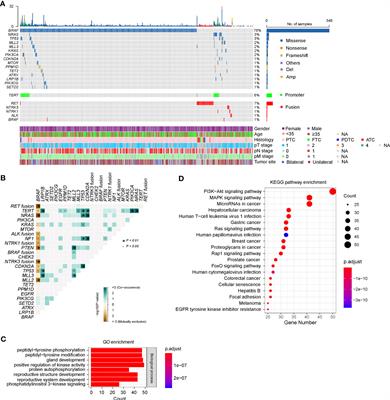 Mutational profiling of Chinese patients with thyroid cancer